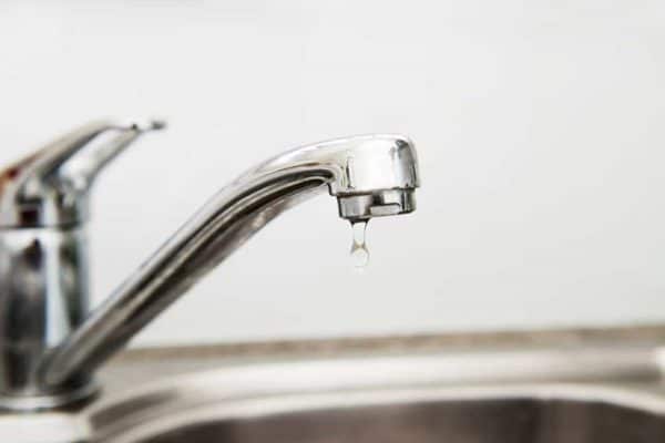 blog-kitchen-pests - Best Pest Control, Casper, Wyoming Tips to keep your kitchen pest-free - Best Pest Control, Casper, Wyoming - Page 9