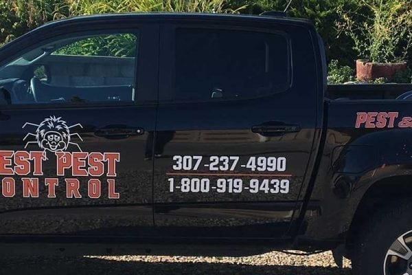 truck - Best Pest Control, Casper, Wyoming Have spiders made themselves at home? - Best Pest Control, Casper, Wyoming - Page 9